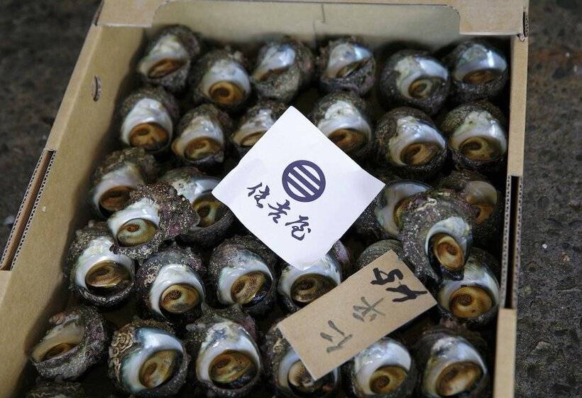 ريوكان Sumiyoshiya