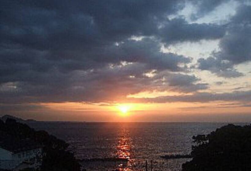 ריוקאן Suzunami