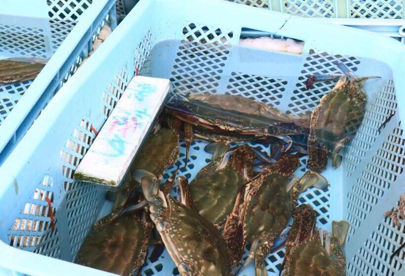 ריוקאן Suzunami