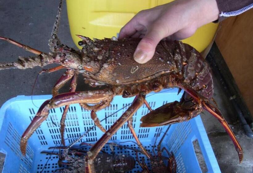 ריוקאן Suzunami