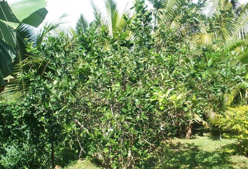 Shalini Garden Hotel & Apartments