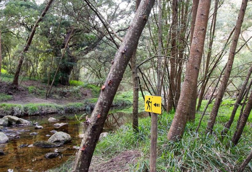 Swartvlei Guest Farm