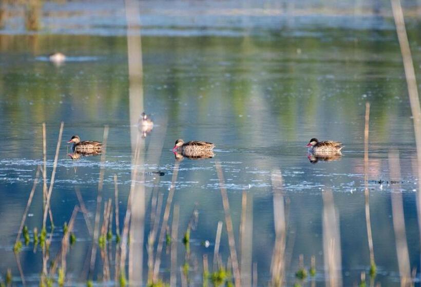 Swartvlei Guest Farm