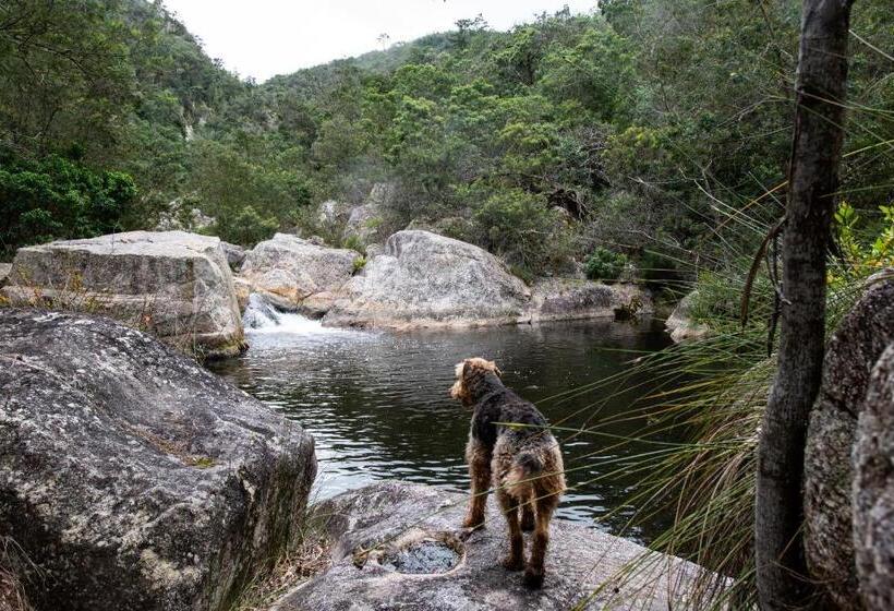 Swartvlei Guest Farm