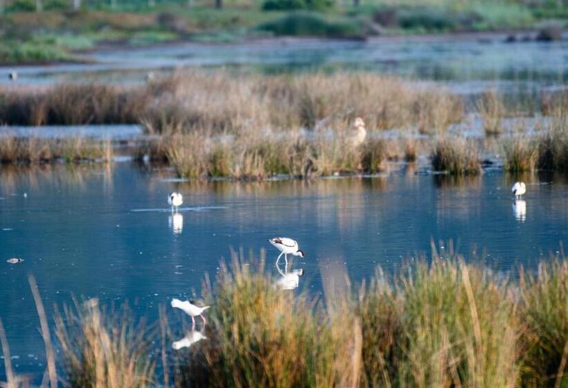 Swartvlei Guest Farm