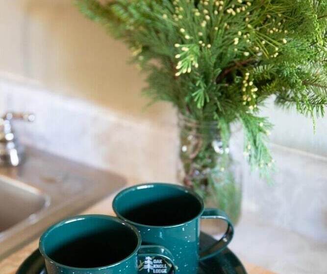 2401   Oak Knoll Studio With Jacuzzi #2 Cabin By Redawning