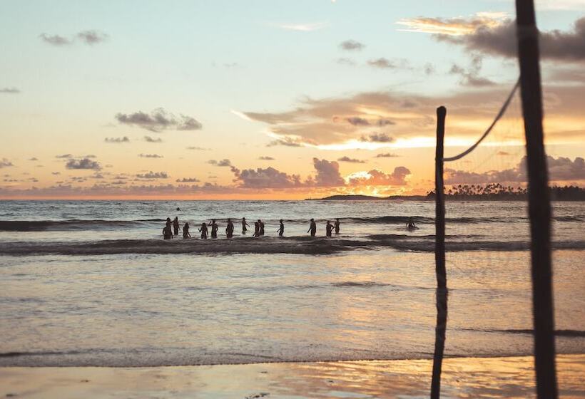 호스텔 Happy Hammocks, Hiriketiya Beach   Sri Lanka