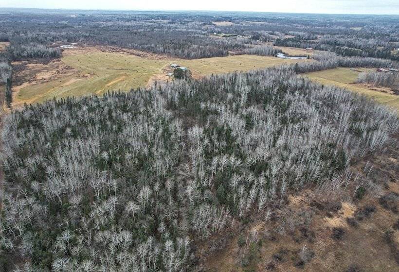 Barnum Cabin On 30 Acres W/ Soo Line Trail Access!