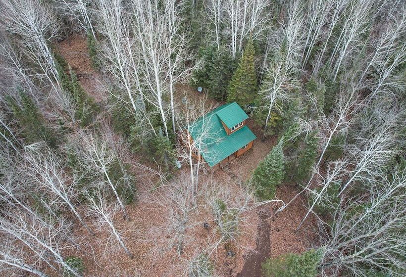 Barnum Cabin On 30 Acres W/ Soo Line Trail Access!