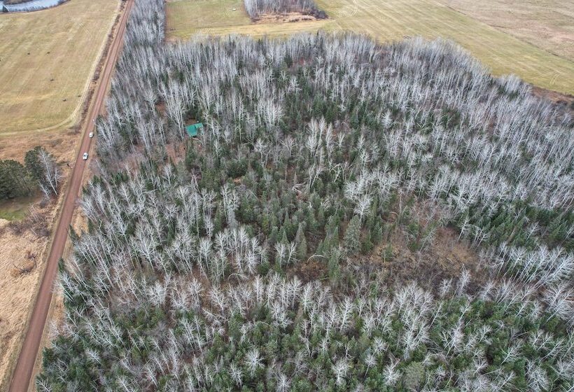 Barnum Cabin On 30 Acres W/ Soo Line Trail Access!