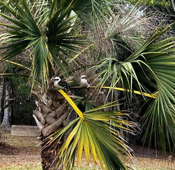 مبيت وإفطار Noosa Hinterland Escape