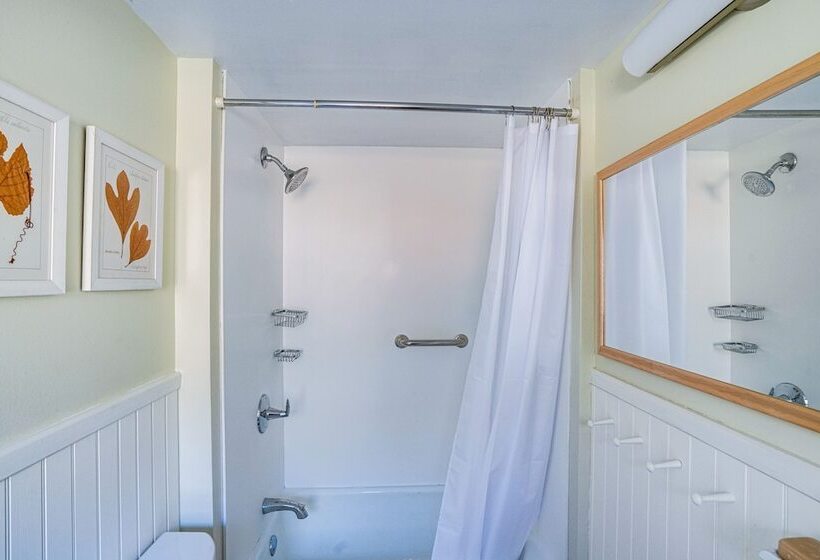 Cozy Berkshires Cottage W/ 11 Private Acres!