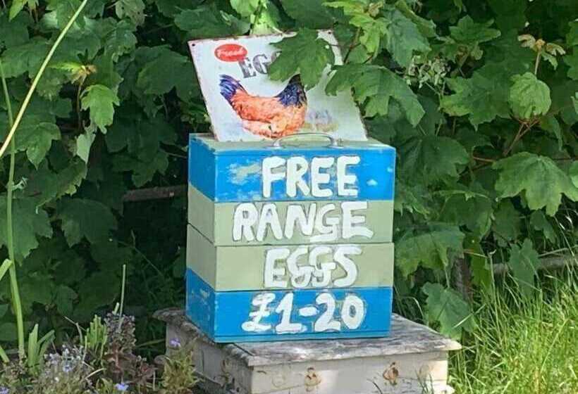 Deveron Valley Cottages