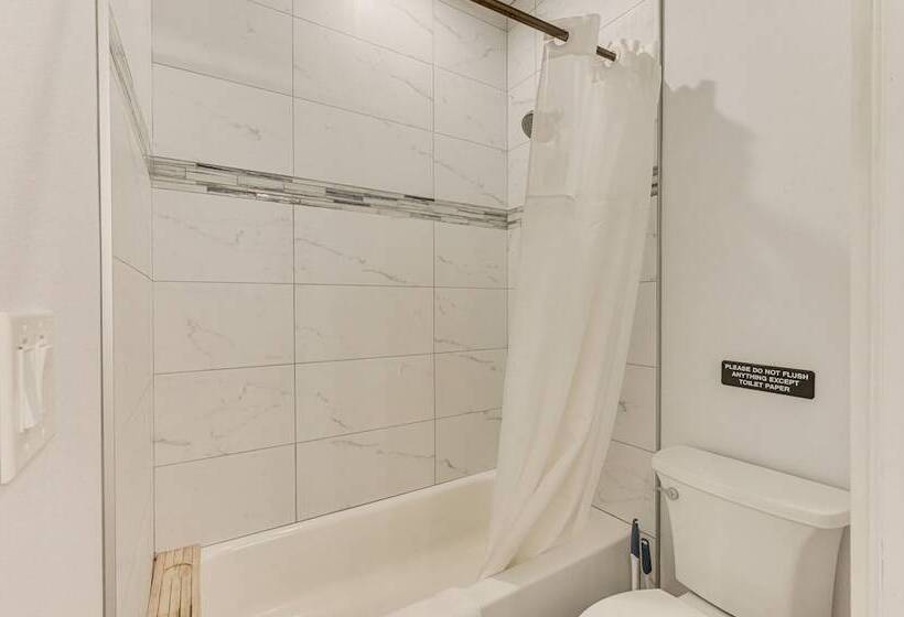 Dog Friendly Lutz Family Home W/ Large Yard!