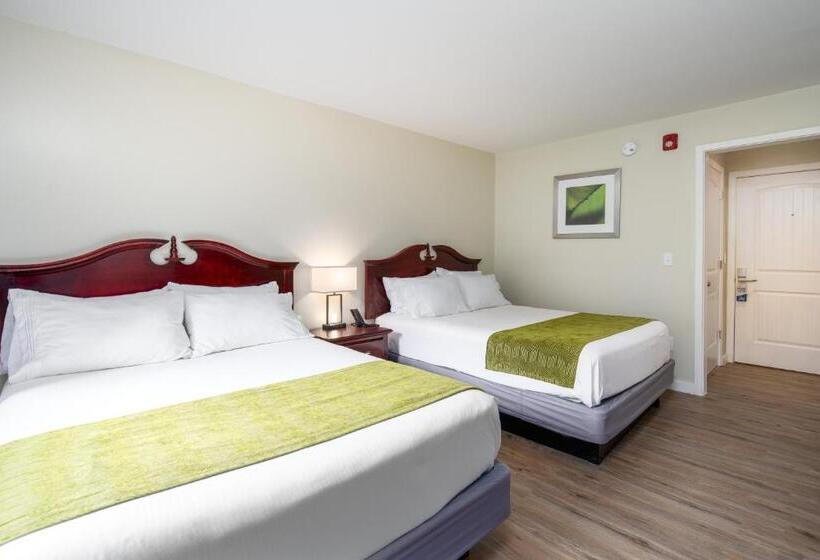 فندق Grey Bonnet Inn