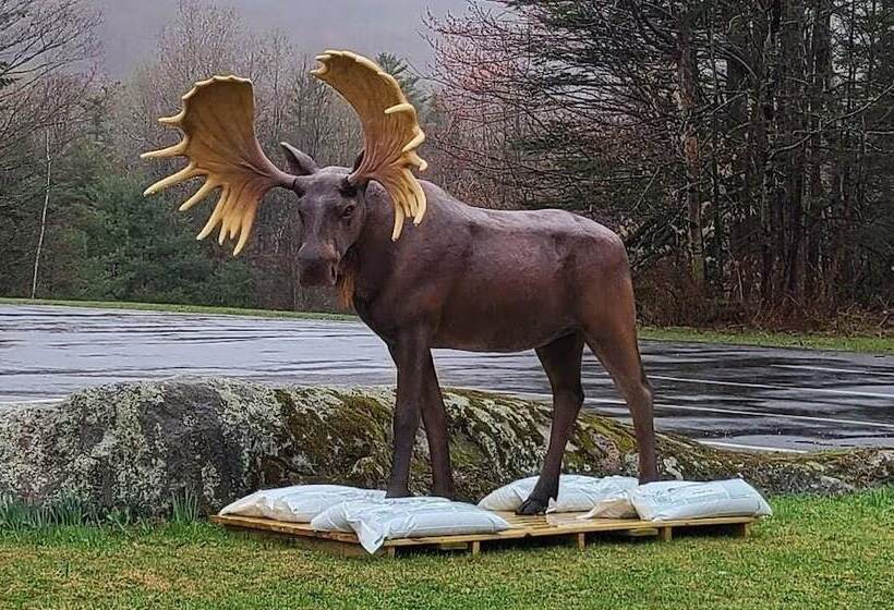 فندق Grey Bonnet Inn