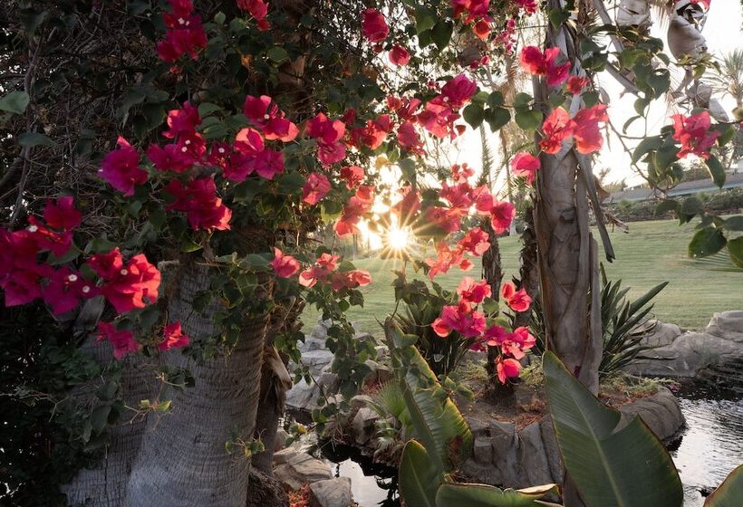 בית מלון כפרי Murrieta Hot Springs Resort