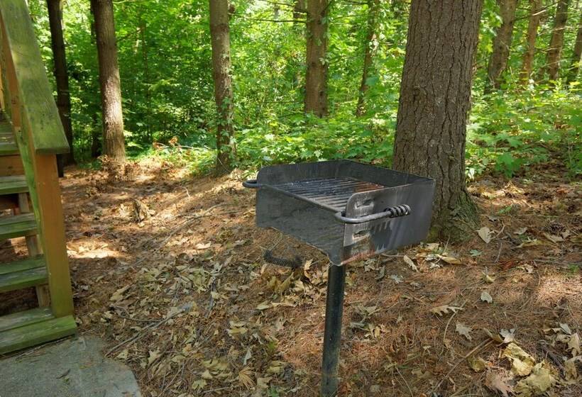 בית מלון כפרי Pine Cove Treehouses & Cabins