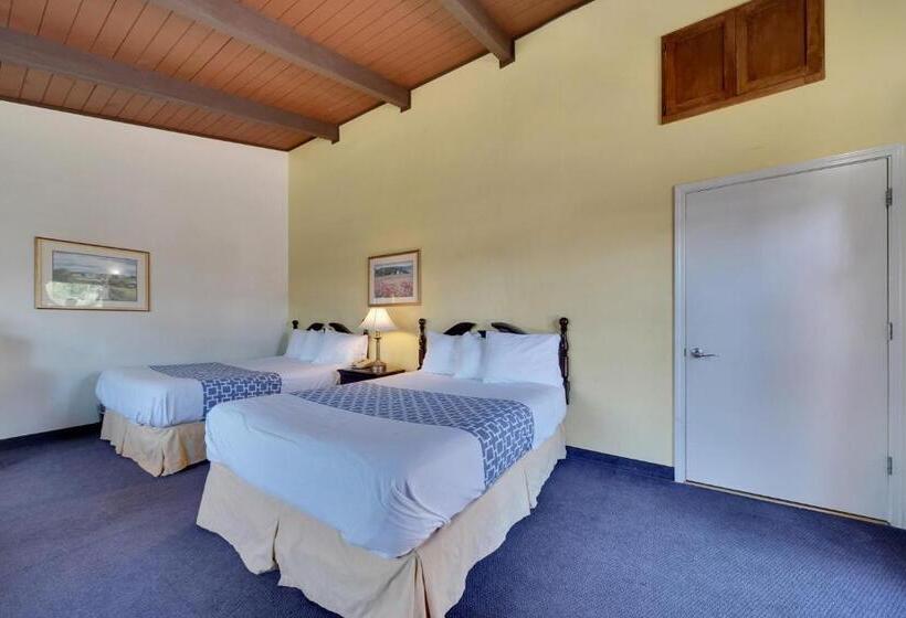 호텔 Quality Inn & Suites