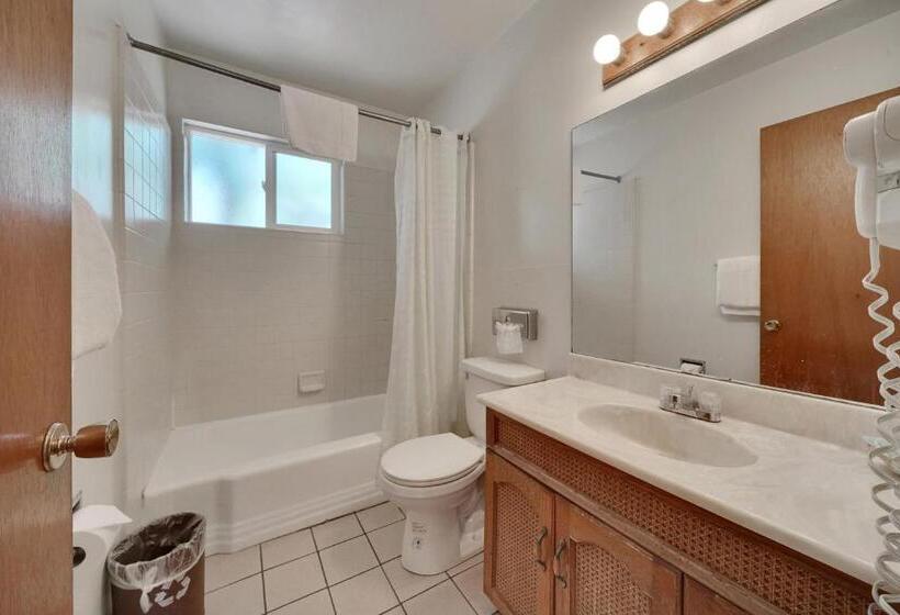 호텔 Quality Inn & Suites