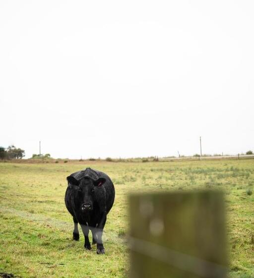 בית מלון כפרי Icena Accommodation