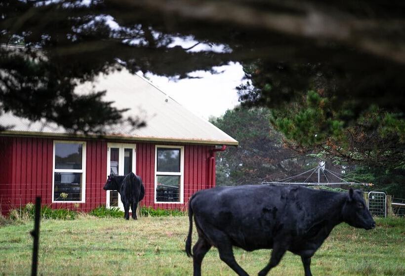 בית מלון כפרי Icena Accommodation