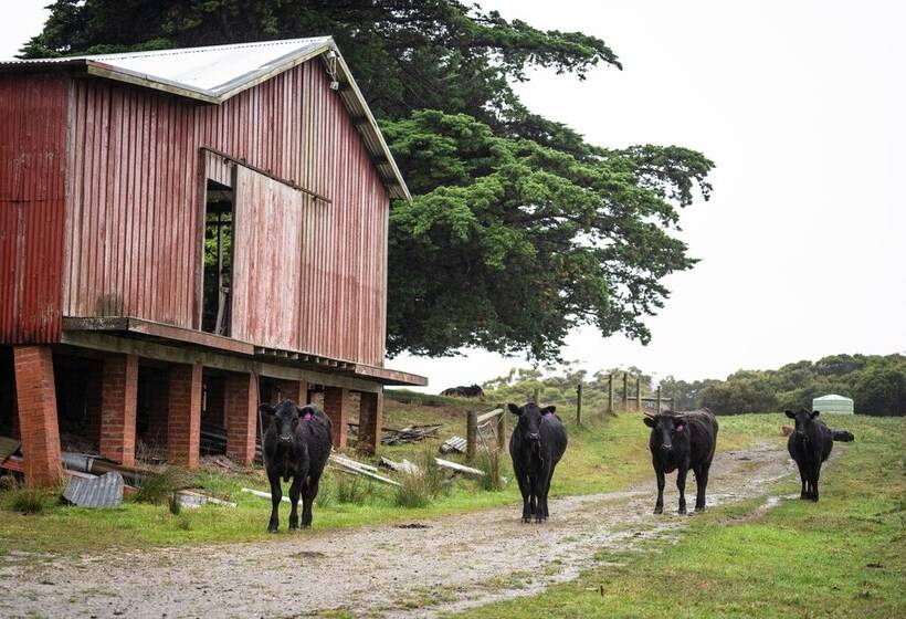 בית מלון כפרי Icena Accommodation