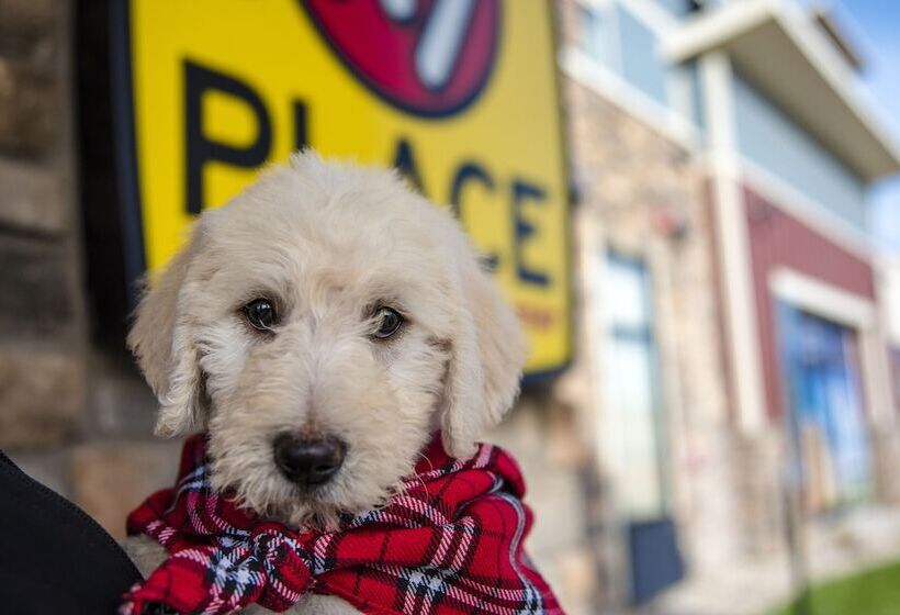 My Place Hotel Grand Rapids Mn