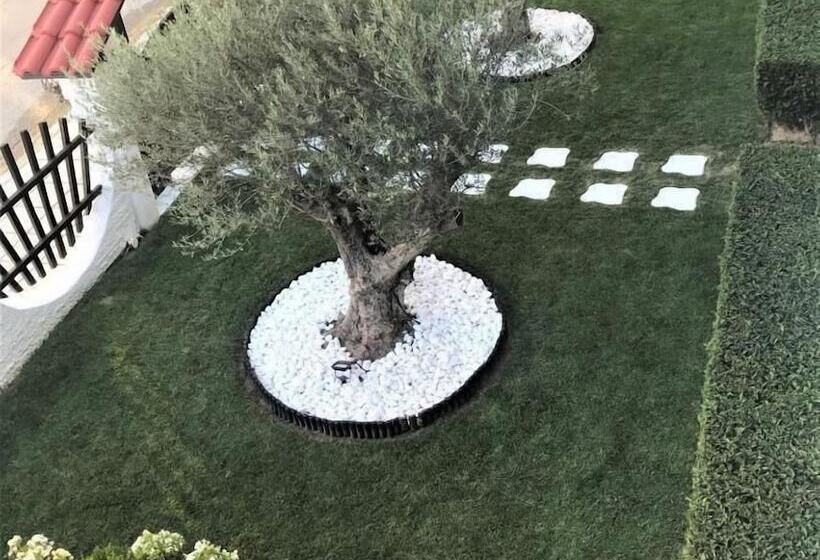 بنسيون Amaryllis Luxury Rooms