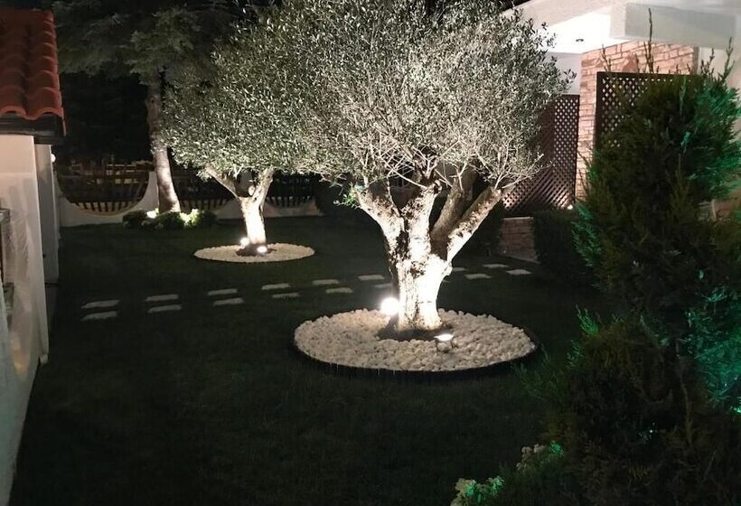 بنسيون Amaryllis Luxury Rooms