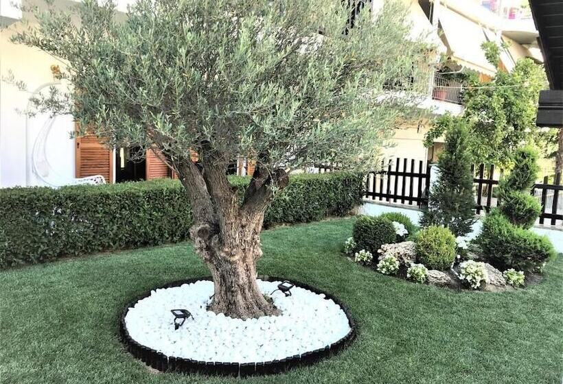 بنسيون Amaryllis Luxury Rooms