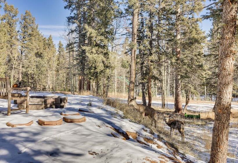 Pet Friendly Florissant Cabin W/ Fire Pit!