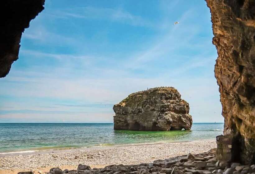 レジデンス Beautiful 3 Bed House In Chester Le Street