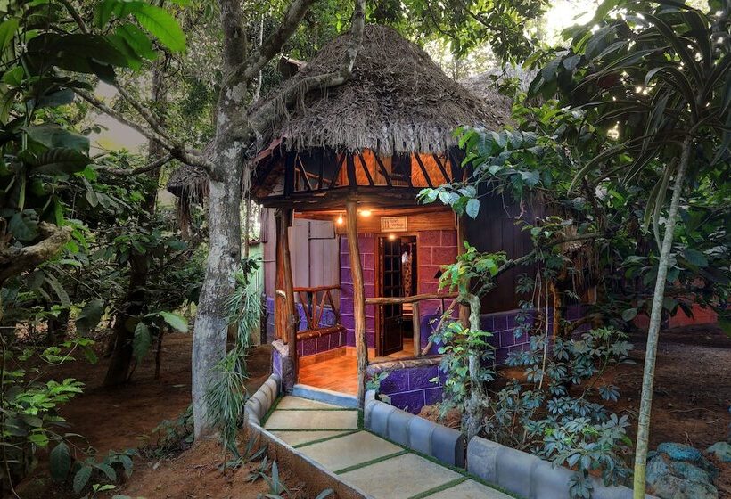 Evergreen County Resort Coorg   A Coffee Plantation Retreat