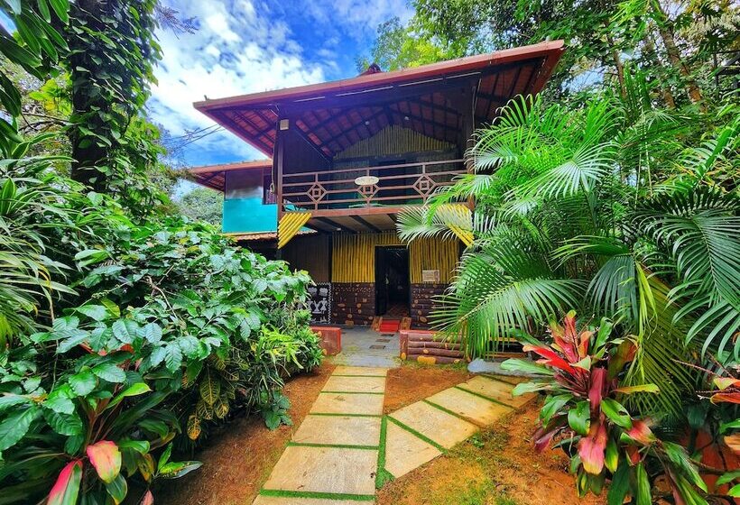 Evergreen County Resort Coorg   A Coffee Plantation Retreat