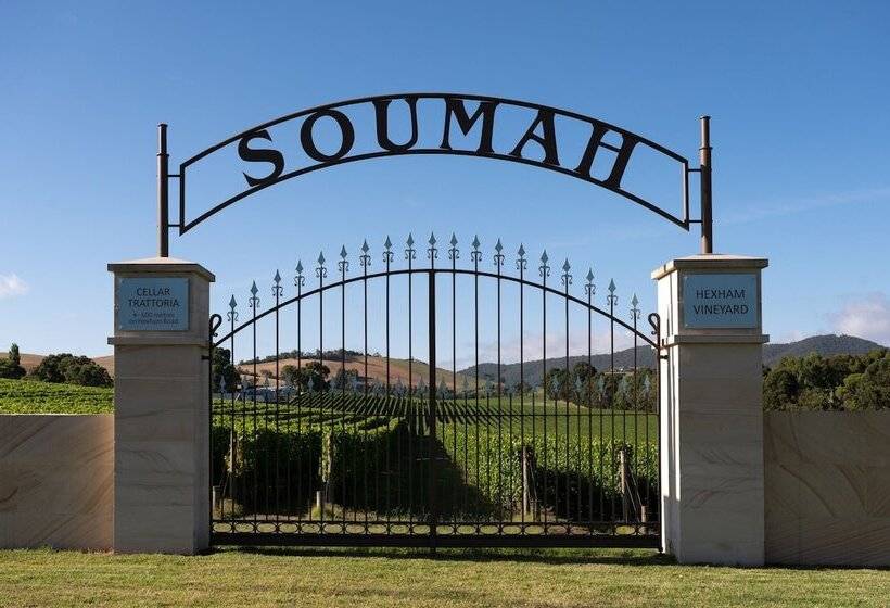 Soumah Wines