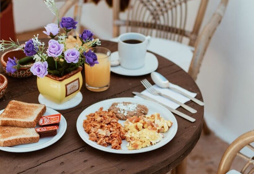 ベッドアンドブレックファースト Hill House Mazatlan