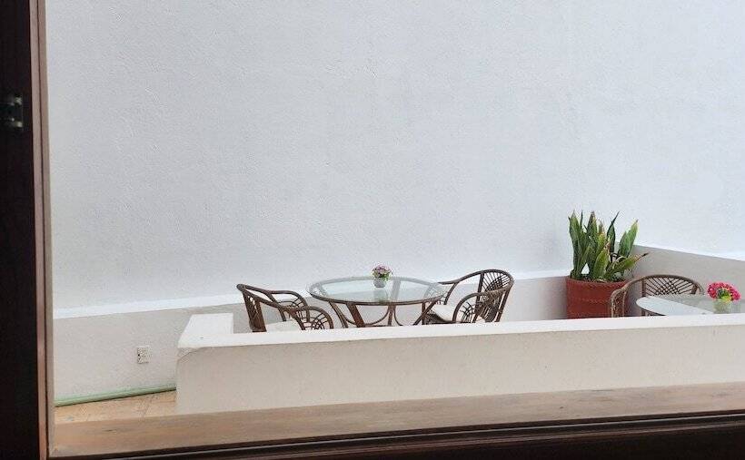 ベッドアンドブレックファースト Hill House Mazatlan