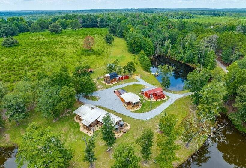 Buena Vista Cabin: Tranquil Haven Near Town Square