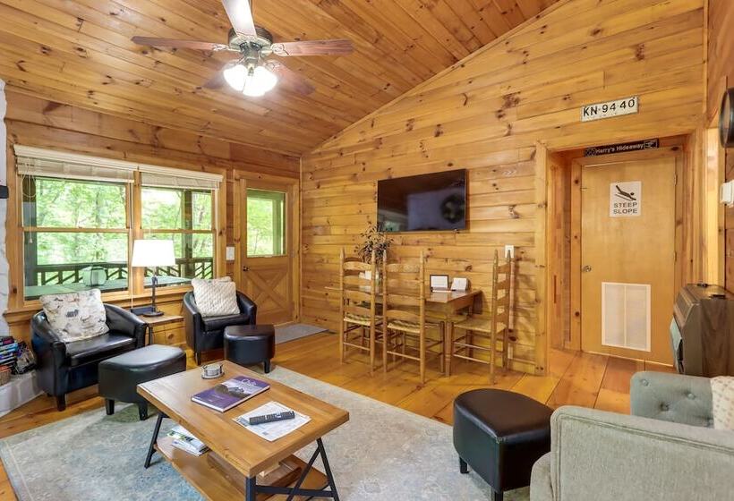Charming Blue Ridge Cabin W/ Game Room & Hot Tub!