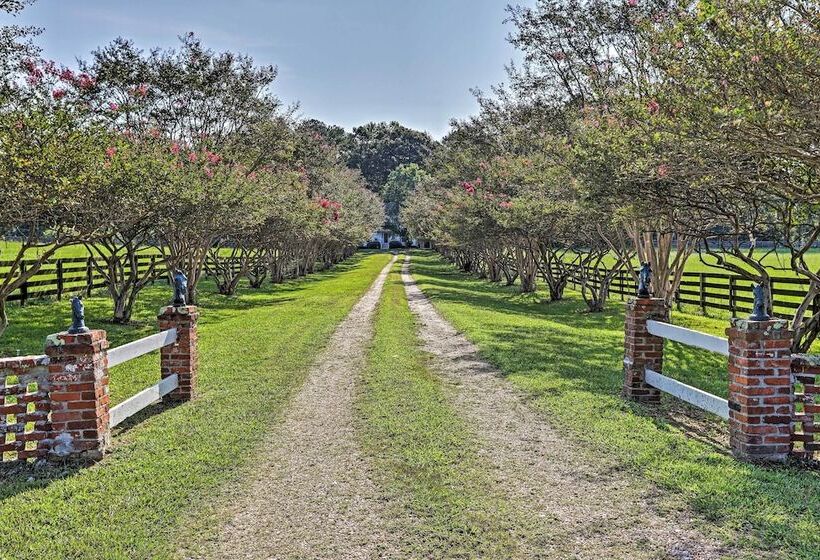 Charming Newnan Carriage House On 95 Acres!