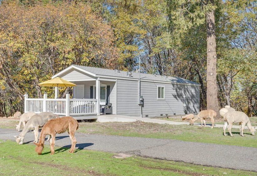 Community Pool & On Site Farm: Placerville Cottage