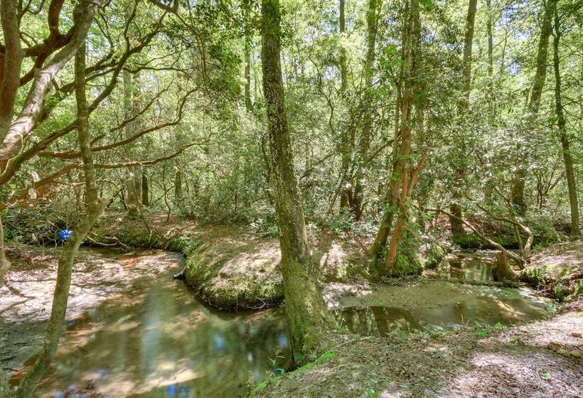 Creekside Sautee Nacoochee Home: 8 Mi To Helen!