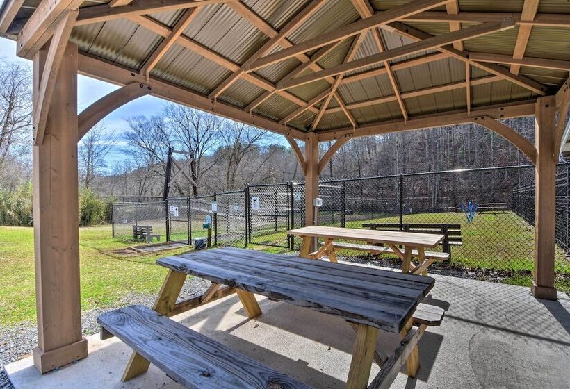 Ellijay Escape: Hike, Shop, Explore & More!