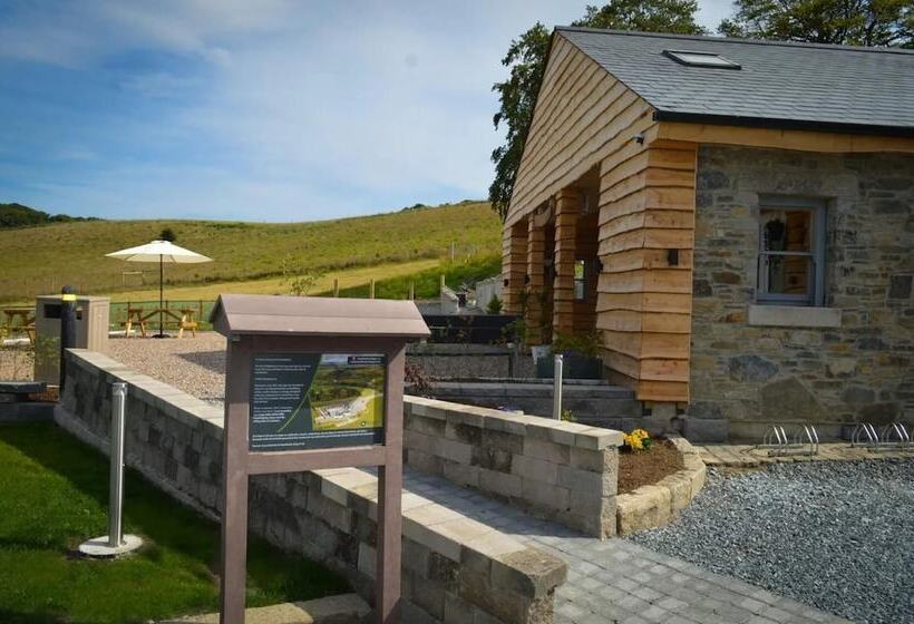 Отель Forestview Cabin No 1 Cosy Cabin Stay