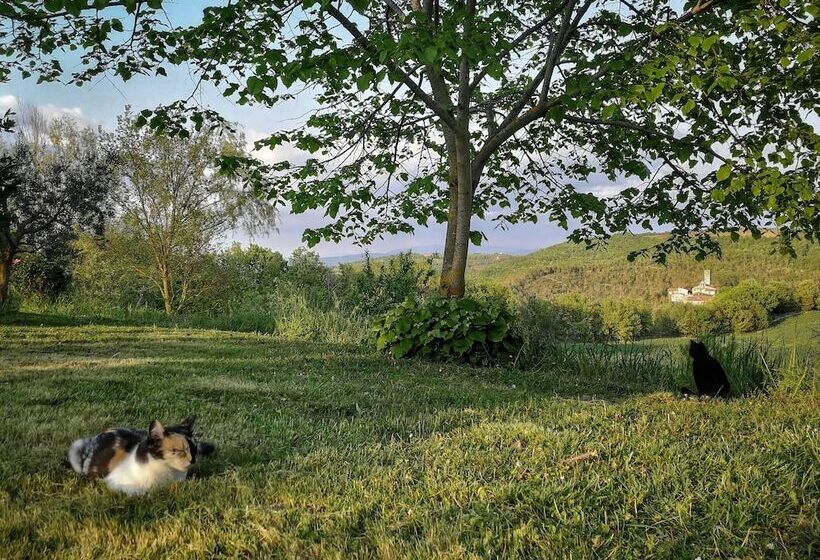 교외 호텔 Agriturismo Casa Greppo   L Ulivo