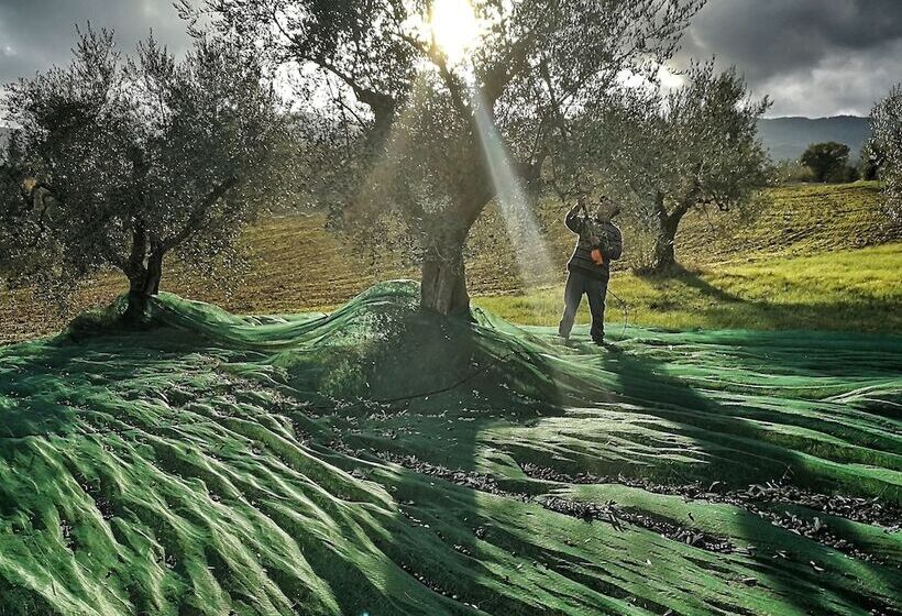 교외 호텔 Agriturismo Casa Greppo   L Ulivo