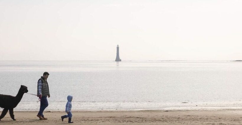 فندق ريفى Cosy Barn Conversion In The Mournes
