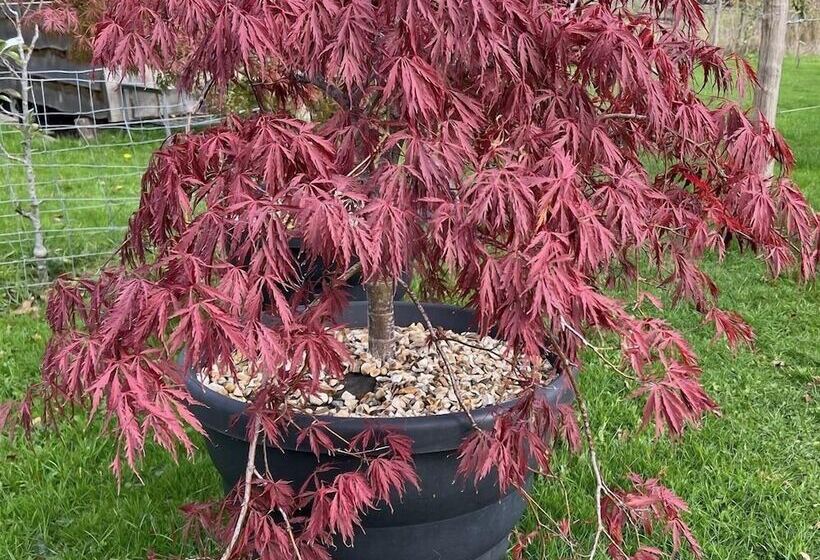 Luxury Shepherd S Hut Style Cabin With Views