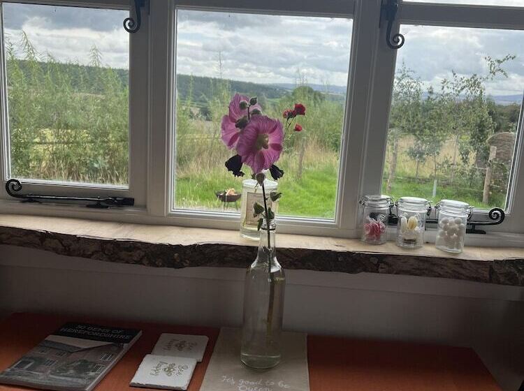 Luxury Shepherd S Hut Style Cabin With Views